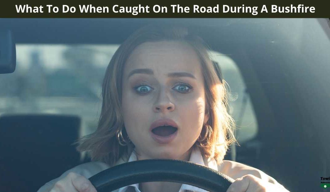 What To Do When Caught On The Road During A Bushfire