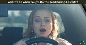 What To Do When Caught On The Road During A Bushfire